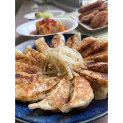 ふるさと納税 湖西市 【湖西ポーク使用】冷凍餃子・冷凍串カツ・冷凍ロールキャベツ・冷凍ミニメンチカツ　絶品4点セット |  | 01