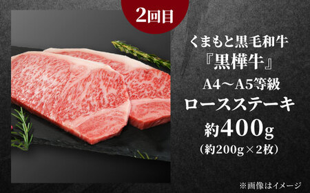 【全3回定期便】くまもとステーキ食べ比べ定期便[AYZZ004]