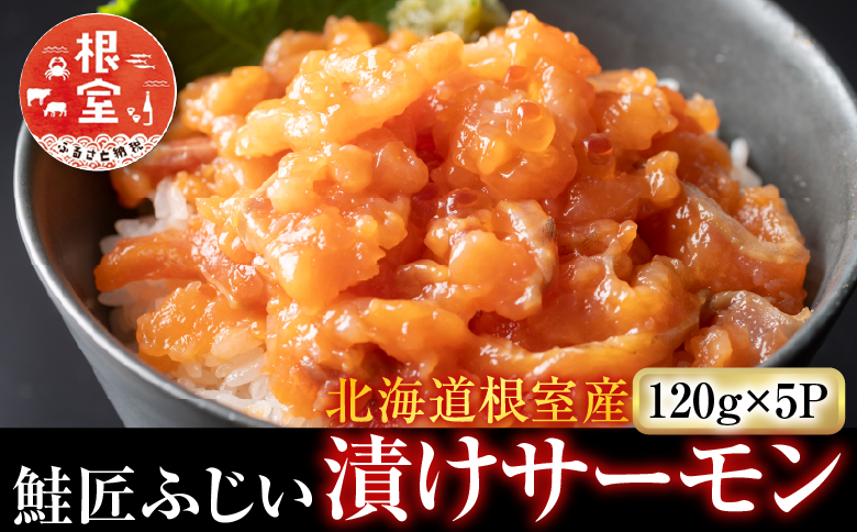 【北海道根室産】＜鮭匠ふじい＞漬けサーモン120g×5P A-42096