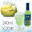 【ふるさと納税】日本一のメロン生産地・鉾田市産「茨城メロンサイダー」《240ml×20本》