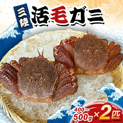 【ふるさと納税】三陸活毛ガニ400g～500g×2匹【配送不可地域：離島・沖縄県・九州】【1592859】
