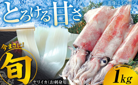 ヤリイカ お刺身用 1kg  小分け 刺身 いか イカ ヤリイカ[WAD054]