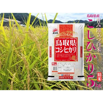 ふるさと納税 湯梨浜町 鳥取県産こしひかり◇精米5kg◇令和7年産(43M.)