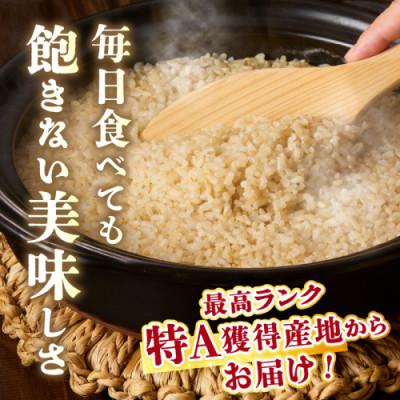 ふるさと納税 京丹後市 【令和7年産/直売所直送】検査1等米 丹後コシヒカリ 玄米10kg 直売所からおいしいお米をお届け |  | 01