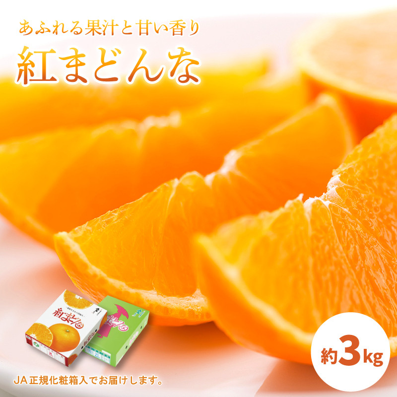 
             紅まどんな 約3kg 【先行予約】【 11月中旬から発送 】＜ JA正規 化粧箱 ＞ 【 秀品 限定 】紅まどんな 紅まどんな 紅まどんな 紅まどんな 愛媛県松山市
          