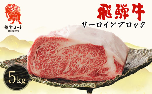 
                  飛騨牛 サーロインブロック 5kg【1622929】
                