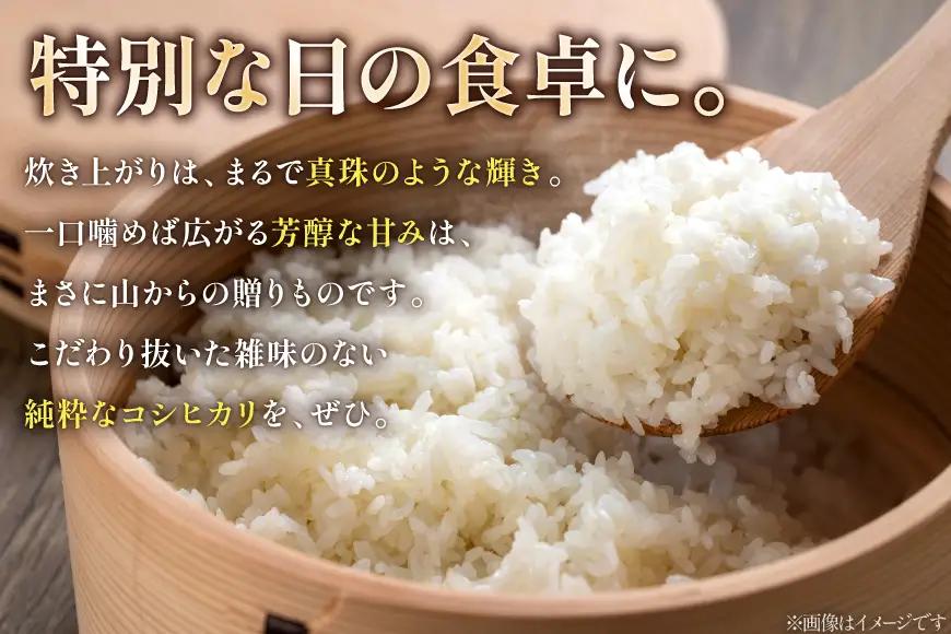 米 コシヒカリ 令和7年産 5kg