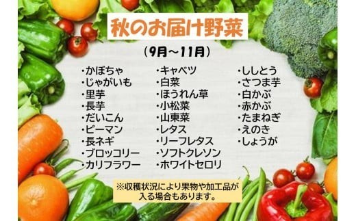 この中から7品以上発送します。※収穫状況によって果物が入る場合があります