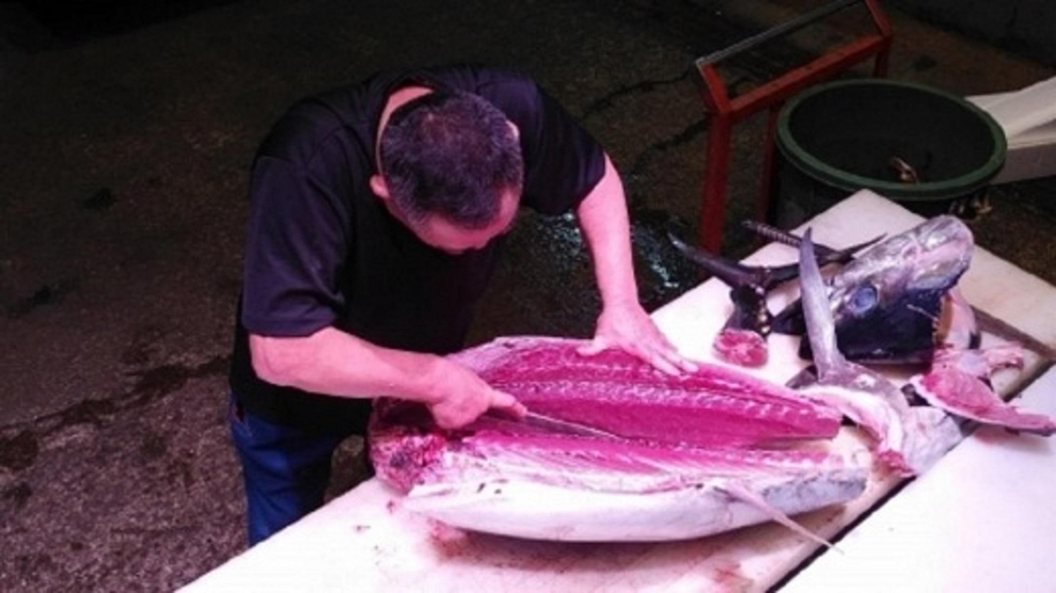 【定期便全5回】生まぐろの本場紀州勝浦から直送！ 生メバチマグロ 約600g（1カ月に1回お届け）（全5ヵ月）