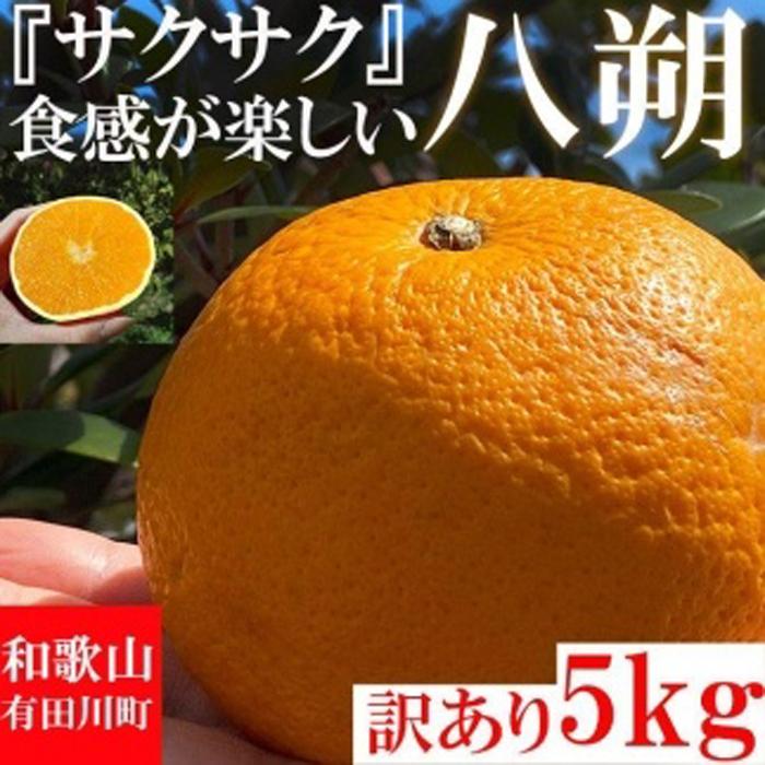 【有田川町】みかん はっさく 八朔 3kg 訳あり ブランド 和歌山 有田みかん ありだみかん