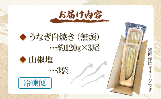 うなぎ 定期便 12回 うなぎ白焼き120g 3尾(無頭) Wun-0042