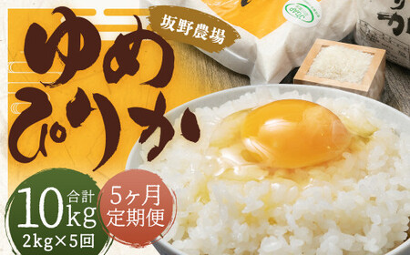 【2026年10月上旬発送開始予定】【5ヶ月定期便】 らんこし米 ゆめぴりか約2kg