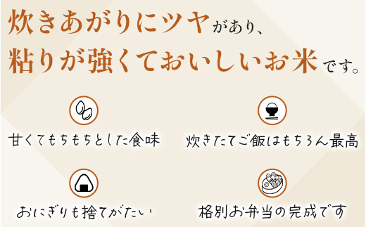 【令和7年産 玄米 】 先行予約 多良木町産 『くまさんの輝き 玄米』 30kg 10月中旬～発送 玄米 熊本県 たらぎ お米 米 熊本県 30キロ 044-0598