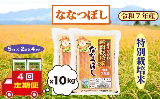 【定期便4回】北海道奈井江町　特別栽培米　ななつぼし　10kg