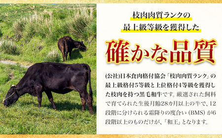 熊本県産 黒毛和牛 ロース 焼肉用 400g《90日以内に出荷予定(土日祝除く)》 国産 牛肉 焼き肉