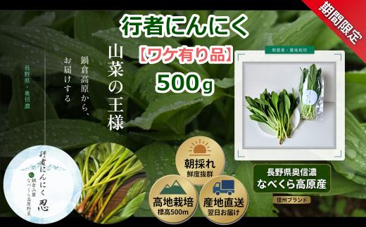 【期間限定】＼訳あり／行者にんにく 忍 500g入り 1箱(70枚～75枚)《出荷時期：2026年5月上旬頃〜》株式会社ForestDoor｜長野県 飯山市 信州 新鮮 直送 山菜 ビタミン 健康  (Ce-014)