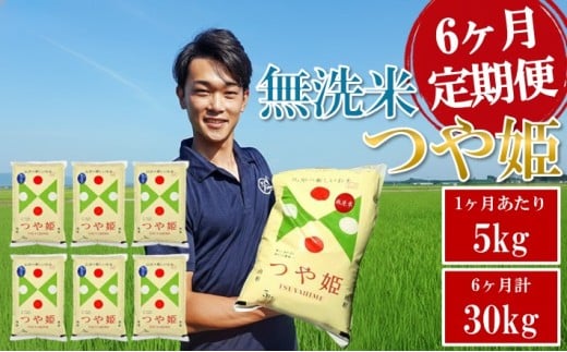 ≪6ヶ月定期便≫ 無洗米 特別栽培米 つや姫 5kg×6ヶ月連続 計30kg 山形県庄内産 毎月中旬頃にお届け 米 お米 精米 白米 定期便 ブランド米 AG アグレスト　SN0021