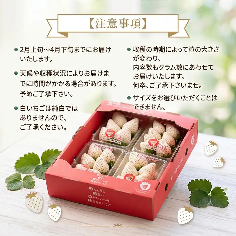 『先行予約』【令和9年2月上旬から4月下旬までにお届け】こころの色R? 白いちご 約130g×4P(合計約520g) ご自宅用 いちご イチゴ 苺 贈答 フルーツ 果物 希少