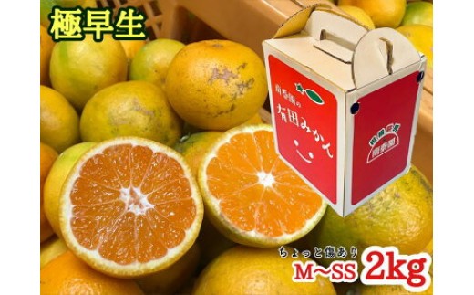 
                  ちょっと傷あり【極早生・有田みかん】M～SSサイズ 約2kg_ZF6304n
                