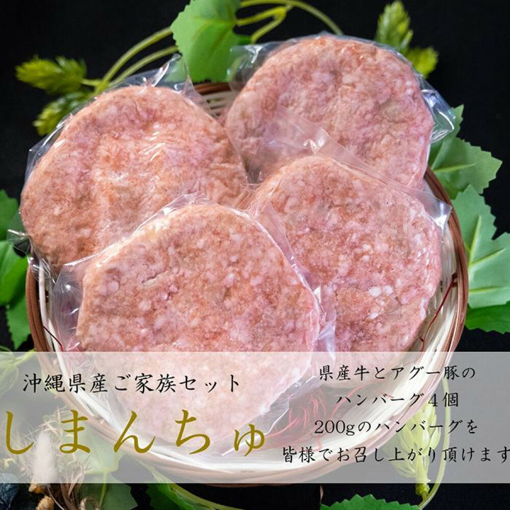 【ふるさと納税】しまんちゅセット(ハンバーグ200g×4個) | 肉 お肉 にく 食品