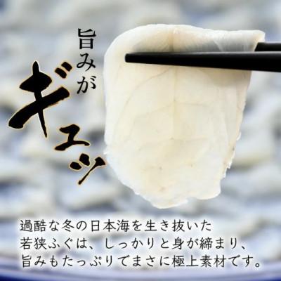 ふるさと納税 小浜市 福井県小浜市産若狭ふぐとマハタ刺身4人前 |  | 01