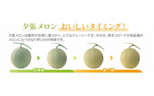【先行予約受付中】夕張メロン 大箱8kg（糖度11％以上　等級：優　4～6玉入り） N29