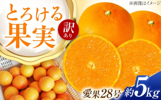 みかん 訳あり 愛果28号 約5kg【12月上旬から2月下旬まで順次発送】 / フルーツ 果物 蜜柑 ミカン オレンジ 訳あり 訳アリ 小玉 甘い 先行予約 約 5kg 愛媛 愛果28号 ゼリー食感 プルプル 薄皮 果汁たっぷり 高級柑橘 濃厚 甘み 酸味少ない 愛媛産 旬 お取り寄せ 贈答 フルーツギフト 柑橘詰め合わせ 人気 おすすめ / 愛媛県砥部町/西岡さん家のみかん園 [BJBG002]
