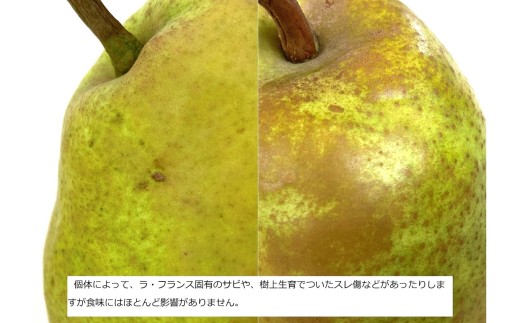 西洋梨（ラ・フランス）３.３ｋｇ　大玉　秀品　0009-2611