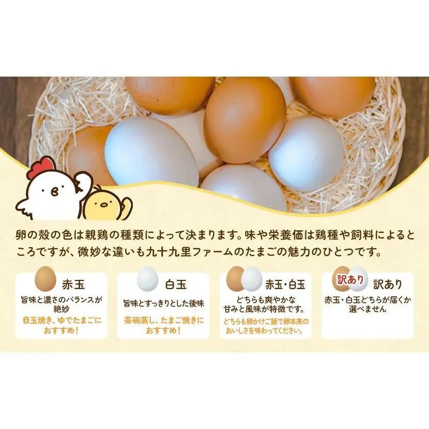【定期便9回】九十九里ファームこだわりたまご贈答用 40個 ～あおい海・みどりの里～《赤玉》 たまご 卵 玉子 タマゴ 赤玉 卵かけご飯 新鮮 旨み 甘み 贈答用 贈答 ギフト 贈り物 千葉県 匝瑳市