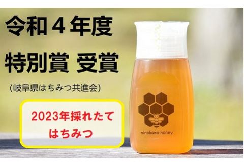 MINOKAMO HONEY はちみつ （ 300g ）| 藤井養蜂 蜂蜜 非加熱 百花蜜 国産 たれにくい M06S25