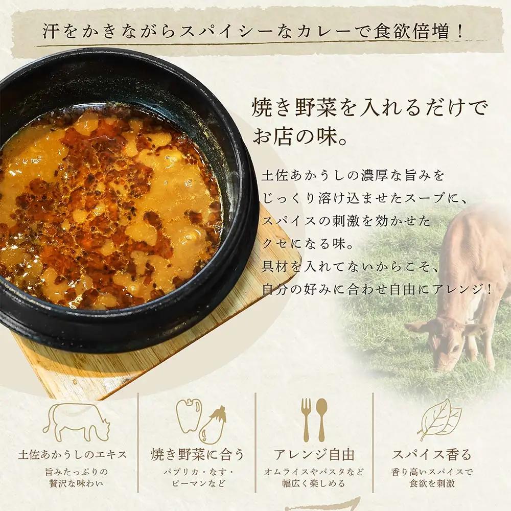 土佐赤牛　牛骨スープカレー10セット