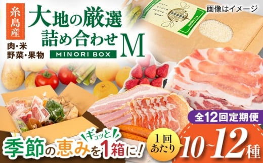 【全12回定期便】糸島産 肉 米 野菜 果物 厳選詰め合わせ MINORI BOX Mサイズ 糸島市 / emma.Inc / 米 肉 野菜 果物 詰め合わせ [AOP014]