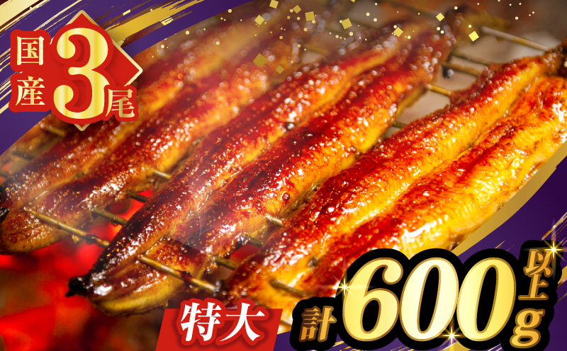 【2週間以内発送】うなぎ蒲焼3尾(さんしょう・たれ付き)計600g以上 鰻 魚 魚介 加工品 国産_T026-0146-2W