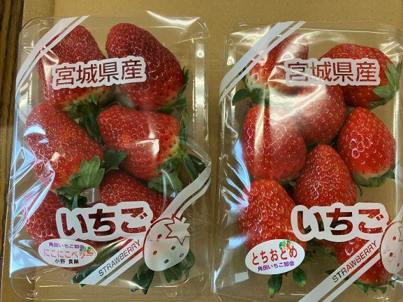 【JAみやぎ仙南】宮城県角田市産いちご　にこにこベリー・とちおとめ詰合せ　合計約1kg（250g×4パック）