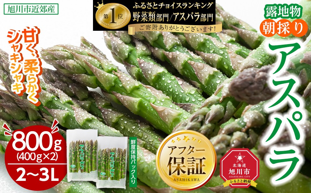 
            【2026年先行予約】露地物朝採りアスパラ 2L～3Lサイズ800g（400g×2）鮮度保持フィルム入り(5月中旬発送開始予定) 【 アスパラ アスパラガス 朝採り とれたて 野菜 旬 小分け 保存 産直 産地直送 お取り寄せ 旭川市 北海道 】_01593
          