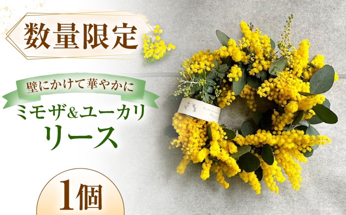 
                  雑貨 ミモザとユーカリのリース【3月下旬から4月上旬順次発送】 / ミモザ ユーカリ リース ドライフラワー 花飾り インテリア雑貨 ドア飾り ドライフラワー ミモザ リース ドア飾り プレゼント インテリア おすすめ 人気 りーす リース 壁飾り ウォールデコ ユーカリ ナチュラル おしゃれ 春 玄関 ドア 誕生日 / 大阪府藤井寺市/JamFlowerSalon [BLAW002]
                