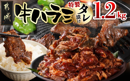 
                  牛ハラミ タレ漬け1.2kg_12J-33-024-1200g_(都城市) 味付き牛ハラミ 牛肉 300gパック 真空 小分け 1200g 希少部位 焼肉 バーベキュー 焼き肉
                