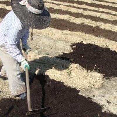 ふるさと納税 掛川市 掛川の小さな茶農家直送 農業遺産茶草場実践工場 深蒸し掛川茶「うぐいす」 200g×2 |  | 02