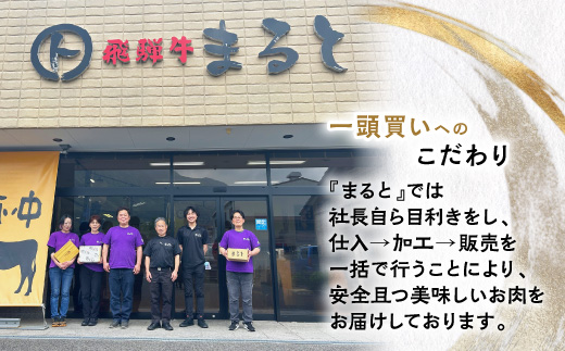 【毎月定期便】飛騨牛　切り落とし250g×2パック　すきやき・しゃぶしゃぶ・牛丼など全6回【配送不可地域：離島】【4085696】