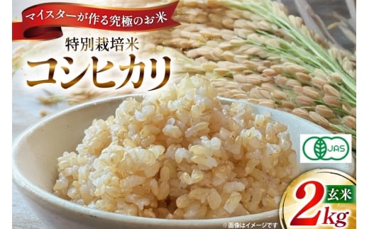 玄米 令和7年 特別栽培米 コシヒカリ 2kg 【有機JAS】 [遠藤農園 山形県 高畠町 tk06ayt120010] こしひかり 2キロ お米 ブランド米 ごはん ご飯 こめ