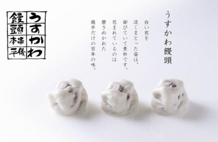 【プレミア和歌山】串本儀平 百年のこだわりの餡 うすかわ饅頭 15個入り【ghi100A】