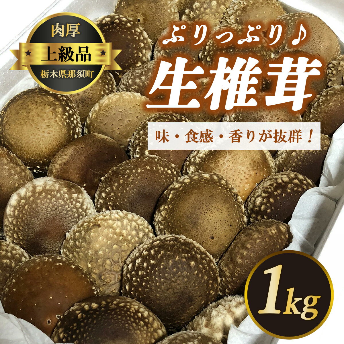 【ふるさと納税】生しいたけ 冷蔵 那須町 〔B-25〕