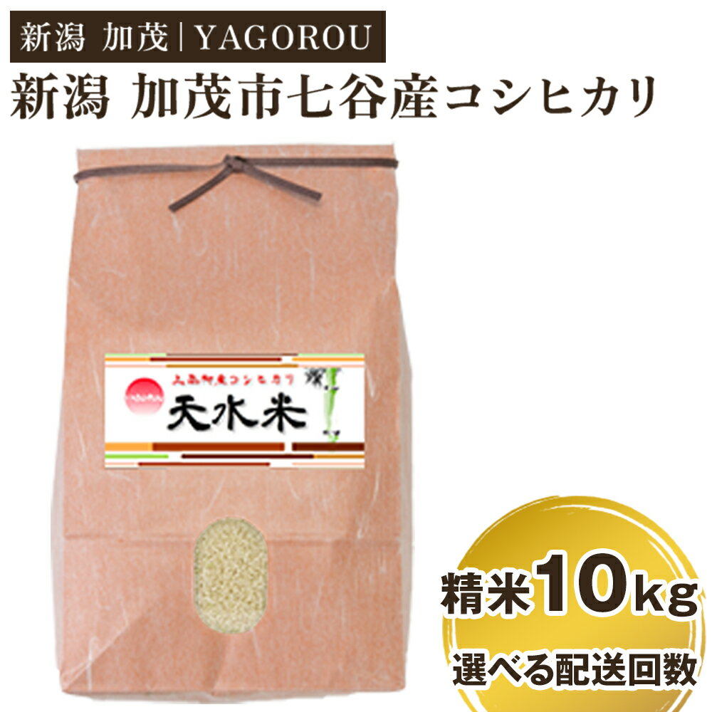 【ふるさと納税】【令和7年産新米先行予約】新潟県加茂市 七谷産コシヒカリ精米10kg 選べる配送回数（通常配送1回〜定期便6回） 《10月中旬～順次発送》 新潟産コシヒカリ 豊かな山水で育った天水米 加茂市 YAGOROU ヤゴロウ