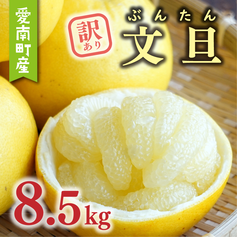 数量限定 先行予約 訳あり 文旦 8.5kg 10000円 わけあり ぶんたん みかん mikan 蜜柑 ミカン 産地直送 国産 農家直送 期間限定 特産品 ゼリー ジュース アイス 等に 人気 限定 甘い 果実 果肉 フルーツ 果物 柑橘 おいしい 美味しい ジューシー サイズ ミックス あいなんマザーズ 愛南町 愛媛県