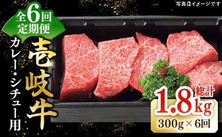 【全6回定期便】 特選 壱岐牛 すね肉 300g（カレー・シチュー用）《壱岐市》【太陽商事】[JDL080] 冷凍配送 黒毛和牛 A5ランク 肉 牛肉 黒毛和牛 ブランド牛 カレー シチュー 赤身 チマキ 煮込み ブロック 国産 九州 お祝い 54000 54000円