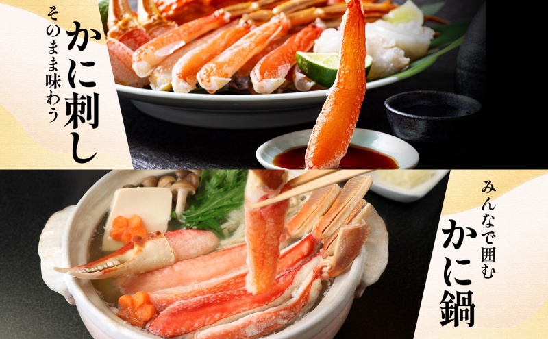 【北国からの贈り物】本ズワイガニ ポーション 1.5kg前後 生食可 蟹酢付 約 6-9人前 昆布塩加工 しゃぶしゃぶ 訳あり かに カニ ズワイガニ 脚 ズワイ蟹 ずわい蟹 ずわいがに むき身 生食