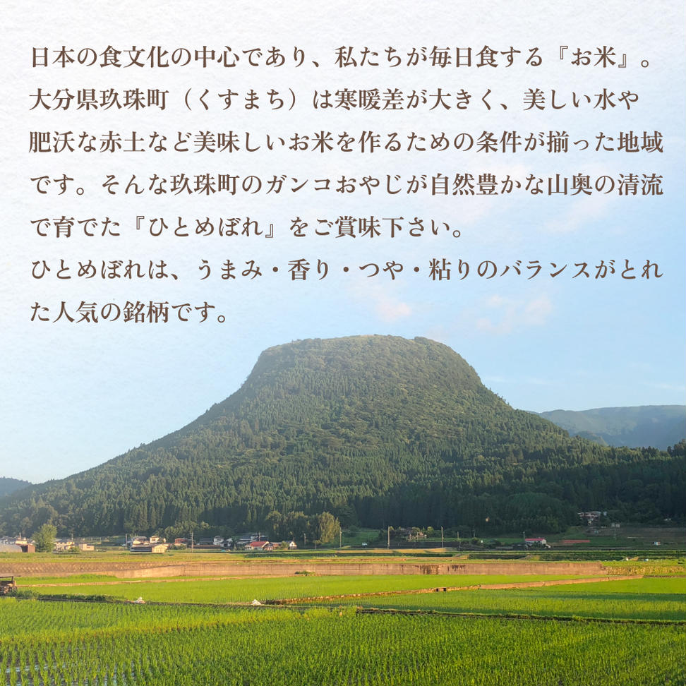 【令和6年産】ひとめぼれ １０kg ｜ ガンコおやじこだわり