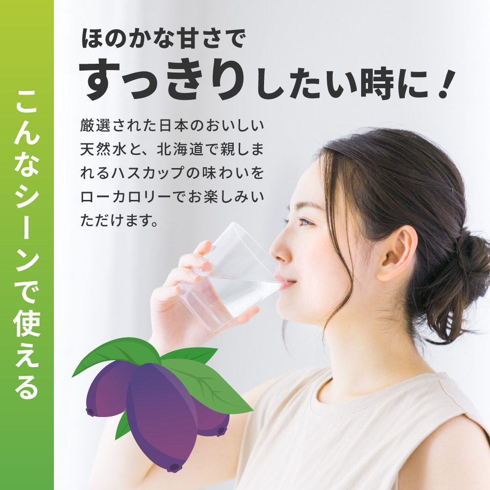 【２ヶ月定期便】い・ろ・は・す ハスカップ　540mlPET×24本｜コカ・コーラ 北海道限定 フレーバー 飲料  水 いろはす 北海道 札幌市