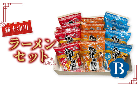 新十津川ラーメンセットB（新十津川物語ラーメンみそ・しお・しょうゆ各４個）【1202601】