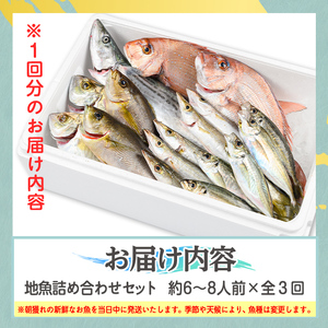 【D09002】【3回定期便】魚屋さんの選んだ新鮮お魚詰め合わせ(約6～8人分) 鹿児島 国産 九州産 産直 産地直送 鮮魚 新鮮 魚 海産物 お刺身 煮つけ 焼き魚【マルケイ水産】